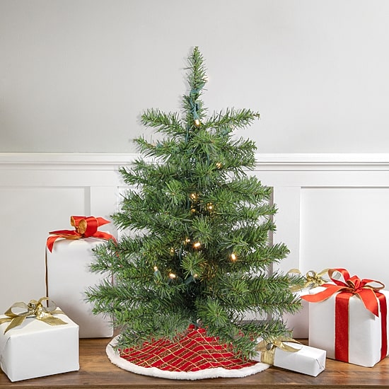 Northlight Canadian Pine With Warm Clear Lights 2 Foot Pre-Lit Pine Christmas Tree