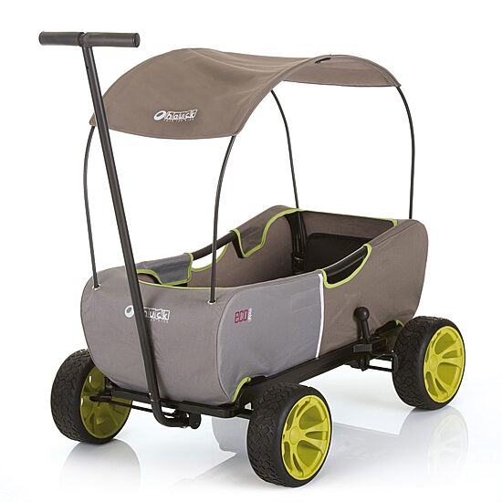 Hauck Wagon