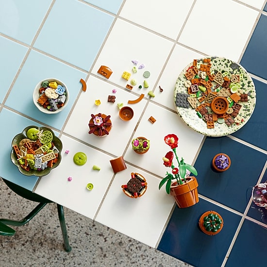 LEGO® Botanicals Tiny Plants Building Blocks 758-pc.