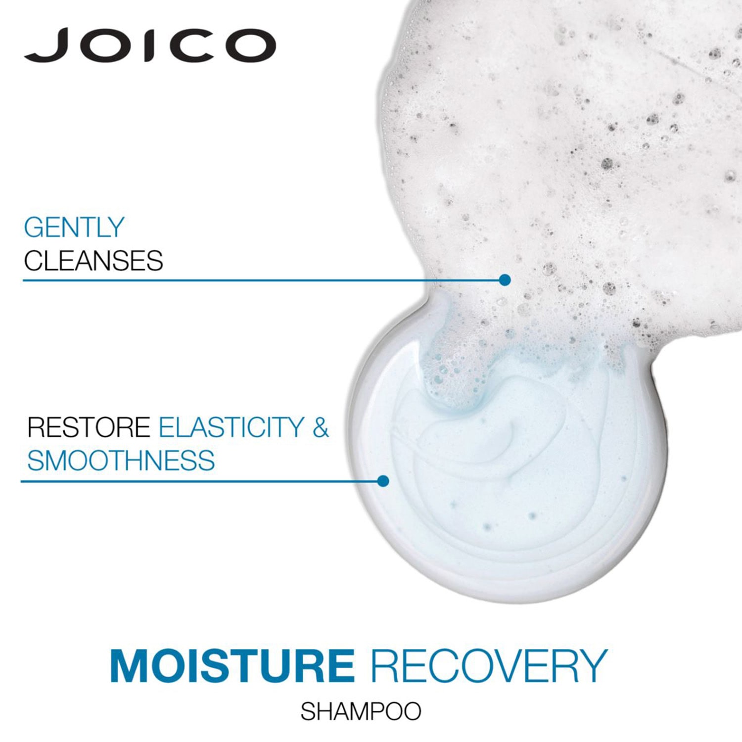 Joico Moisture Recovery Shampoo 10.1 oz.