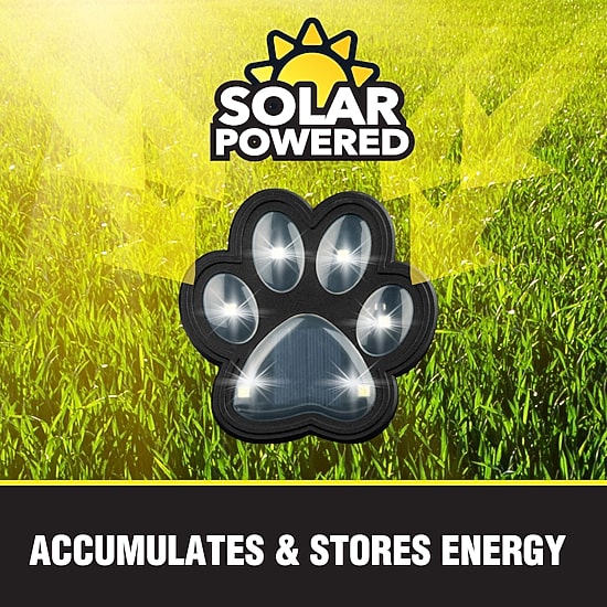 Bell + Howell Solar Powered Paw Print Disk Lights - 4 Pack
