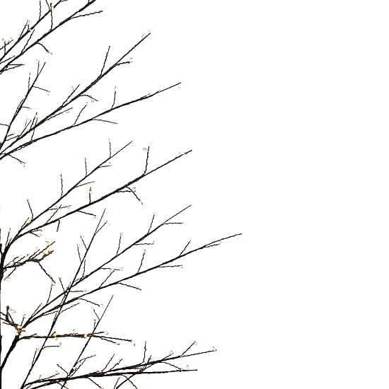 Northlight Matte Black White Led Lighted 7 Foot Pre-Lit Christmas Tree