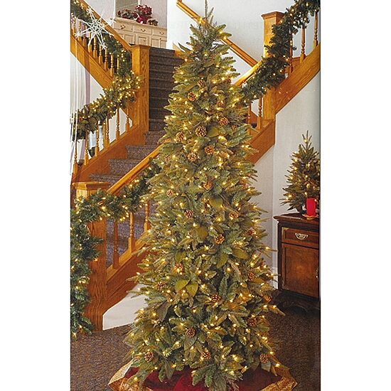 Northlight Green River Spruce With Clear Lights 6 1/2 Foot Pre-Lit Spruce Christmas Tree