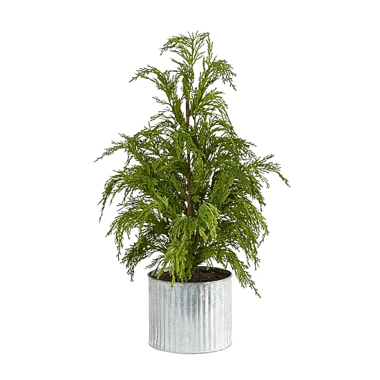 Nearly Natural 20" Cedar Pine Natural Look In Decorative Planter Pine Christmas Tree