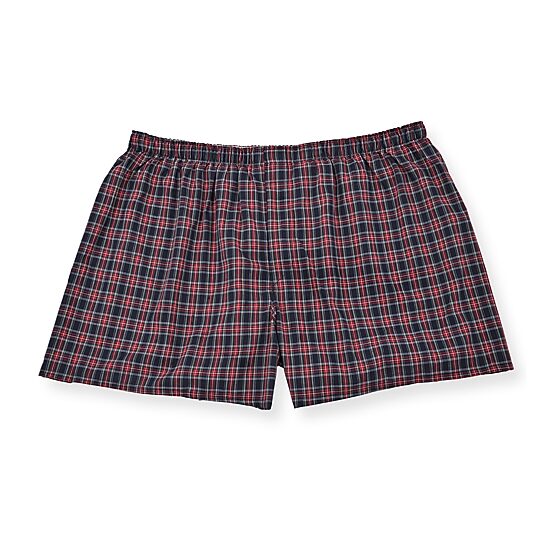 Hanes Mens Big and Tall 3 Pack Boxers 155hb