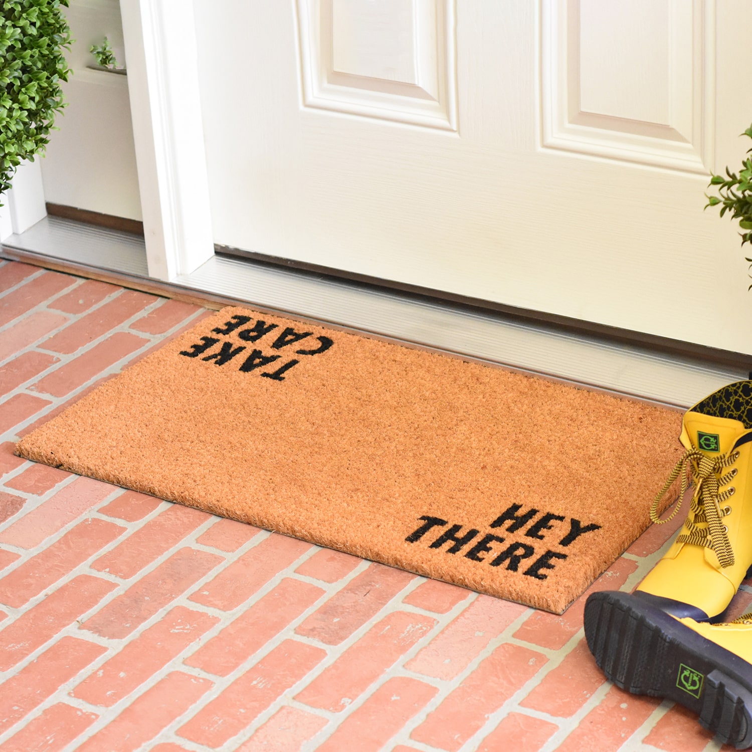 Calloway Mills Hey There Outdoor Rectangular Doormat