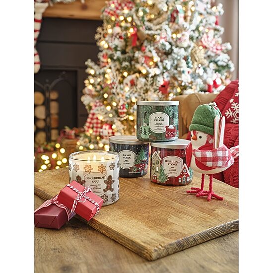 Distant Lands 14 Oz Cocoa Delight 3-Wick Scented Jar Candle