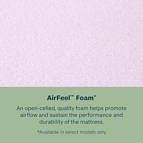 BeautySleep Dream Weaver 13.75" Plush Tight Top - Mattress Only