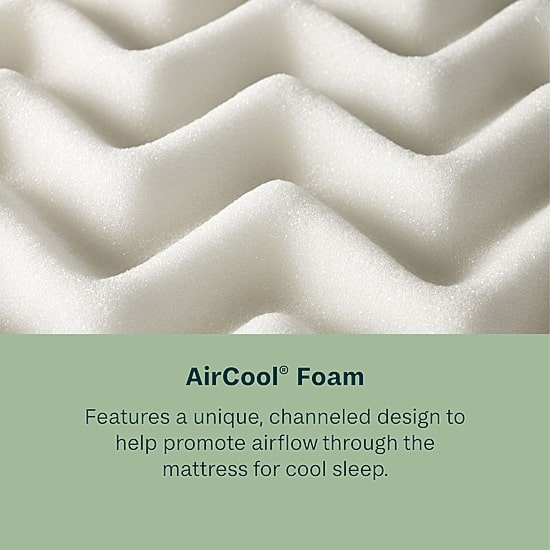 BeautySleep Dream Weaver 11.5" Firm Tight Top - Mattress Only