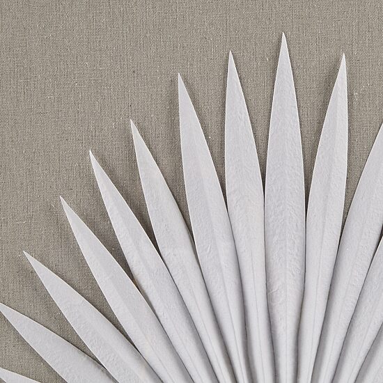 Madison Park Sabal Palm Rice Paper Shadow Box 3-pc. Wall Art Set