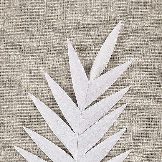 Madison Park Sabal Palm Rice Paper Shadow Box 3-pc. Wall Art Set