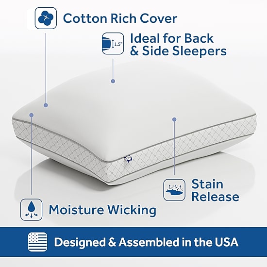 Sealy EternaLoft Firm Support Pillow