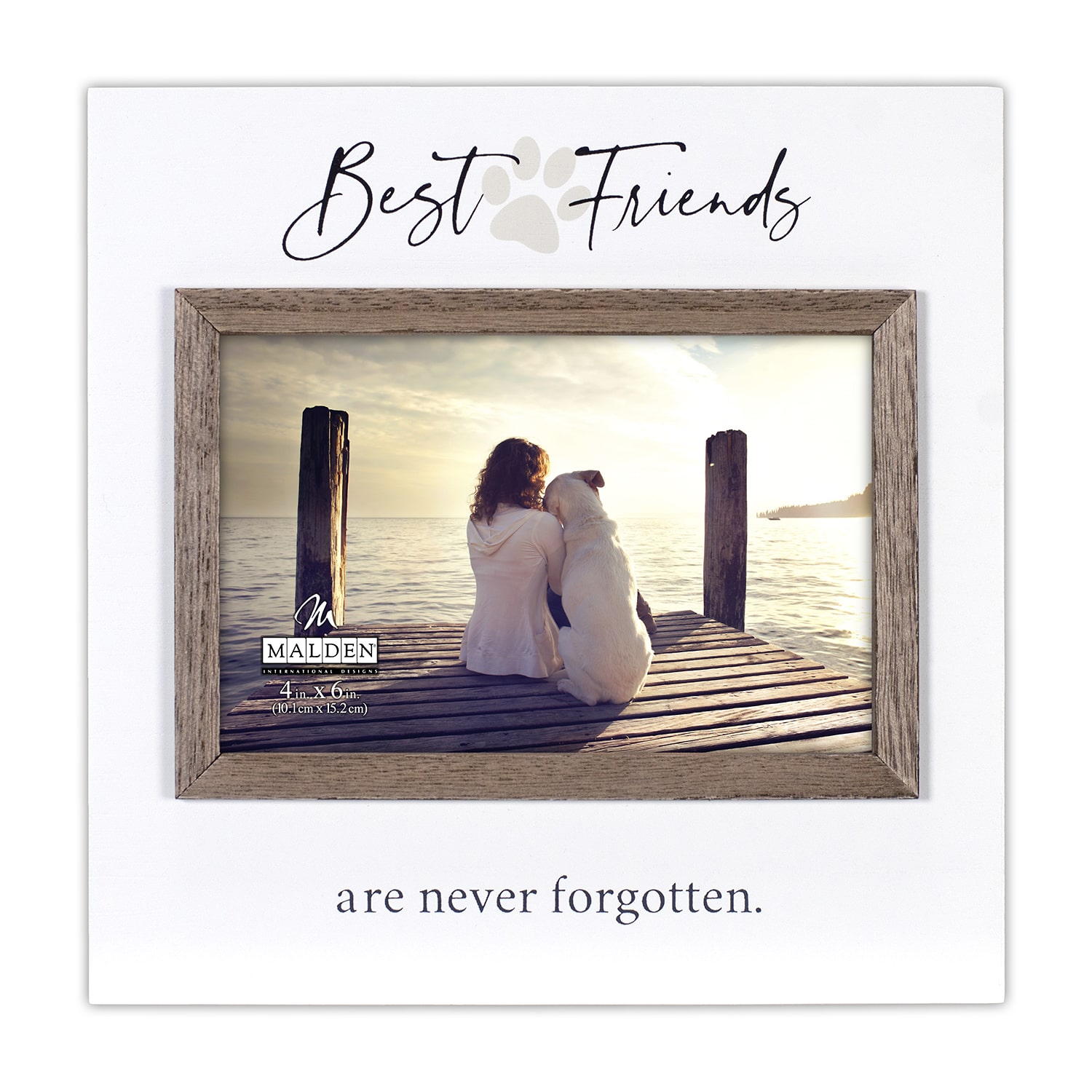 Malden 4x6 Best Friends Are Never Forgotten Pet Tabletop Frame