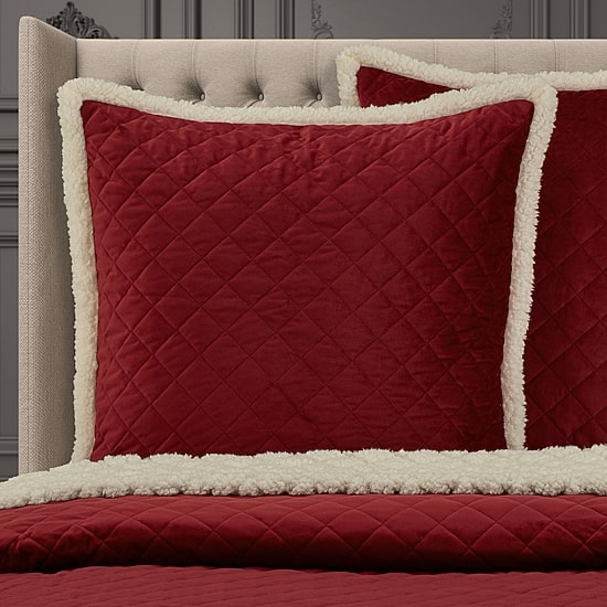 Queen Street Cozy Embellished Euro Sham