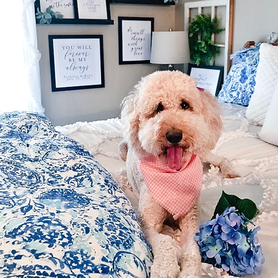 Poppy & Fritz Brooke Reversible Duvet Cover Set
