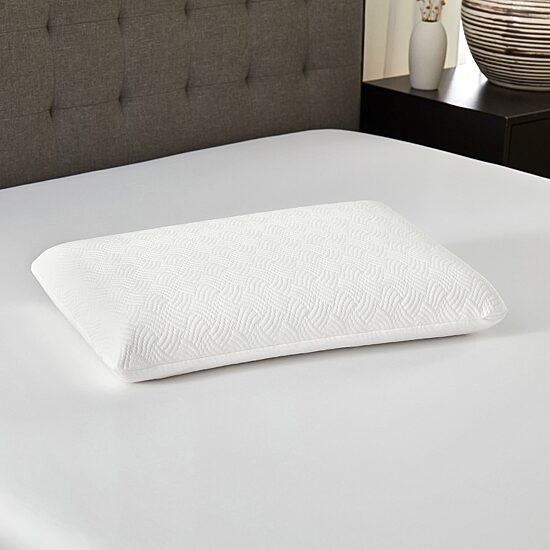 Bodipedic Home Classic Support Conventional Memory Foam Pillow