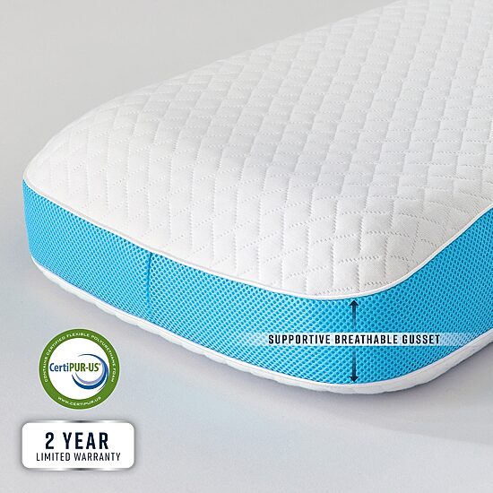 Bodipedic Home Side Back Sleeper Memory Foam Bed Pillow