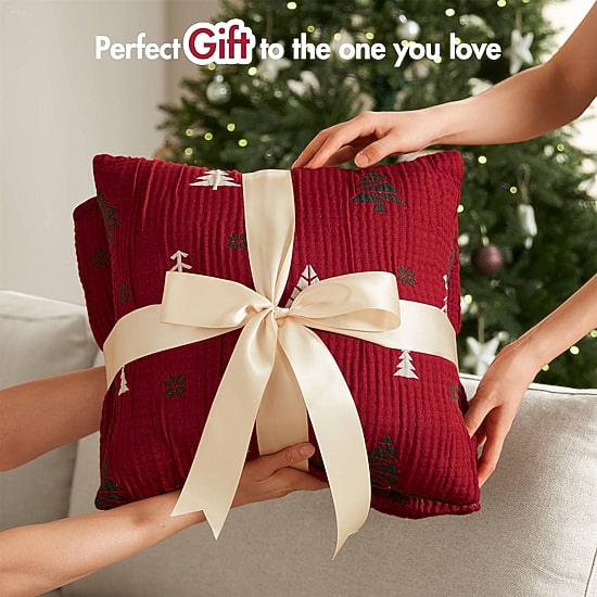 Madison Park Holly Christmas Printed 3-pc. Quilt Set