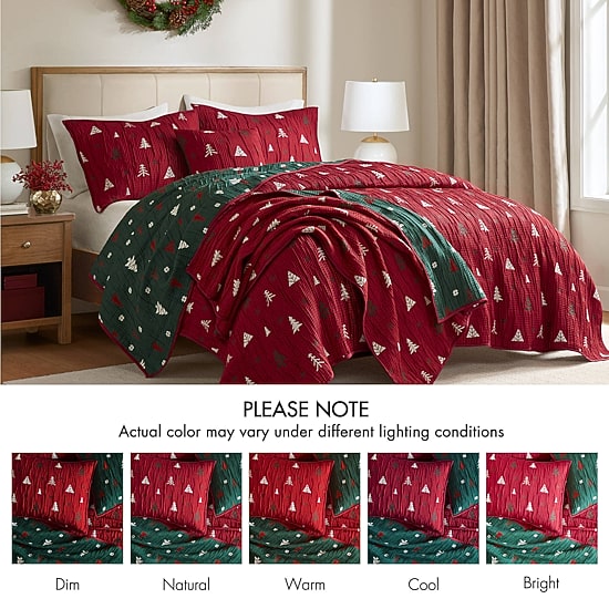 Madison Park Holly Christmas Printed 3-pc. Quilt Set