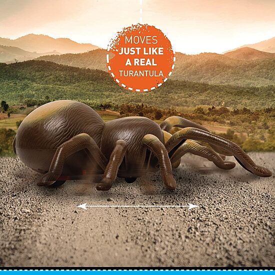 Discovery Kids RC Moving Tarantula Spider, Wireless Remote Control Toy for Kids