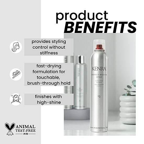 Kenra Professional Perfect Medium Hair Spray 10 oz.