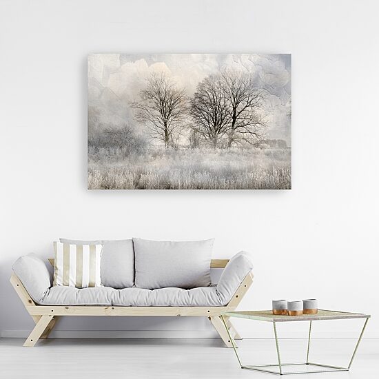 Lumaprints Winter Frost 3 Canvas Art