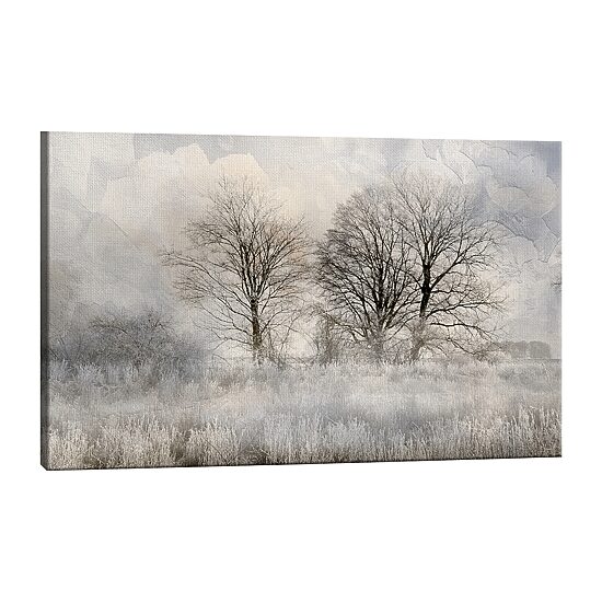 Lumaprints Winter Frost 3 Canvas Art