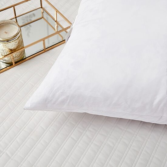 Euro Square Feather 2-Pack Pillows