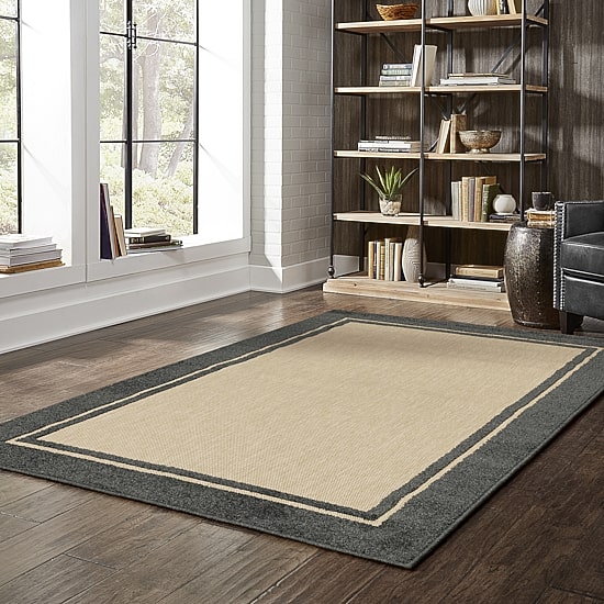 Covington Home Celestia Mixed Pile Border Indoor Outdoor Rectangular Area Rug