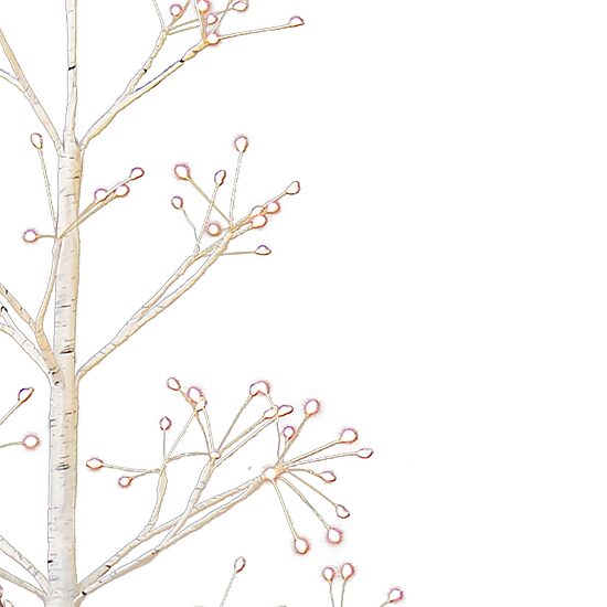 Kurt Adler Birch With White Led 3 Foot Multi-Function Lights Christmas Tree