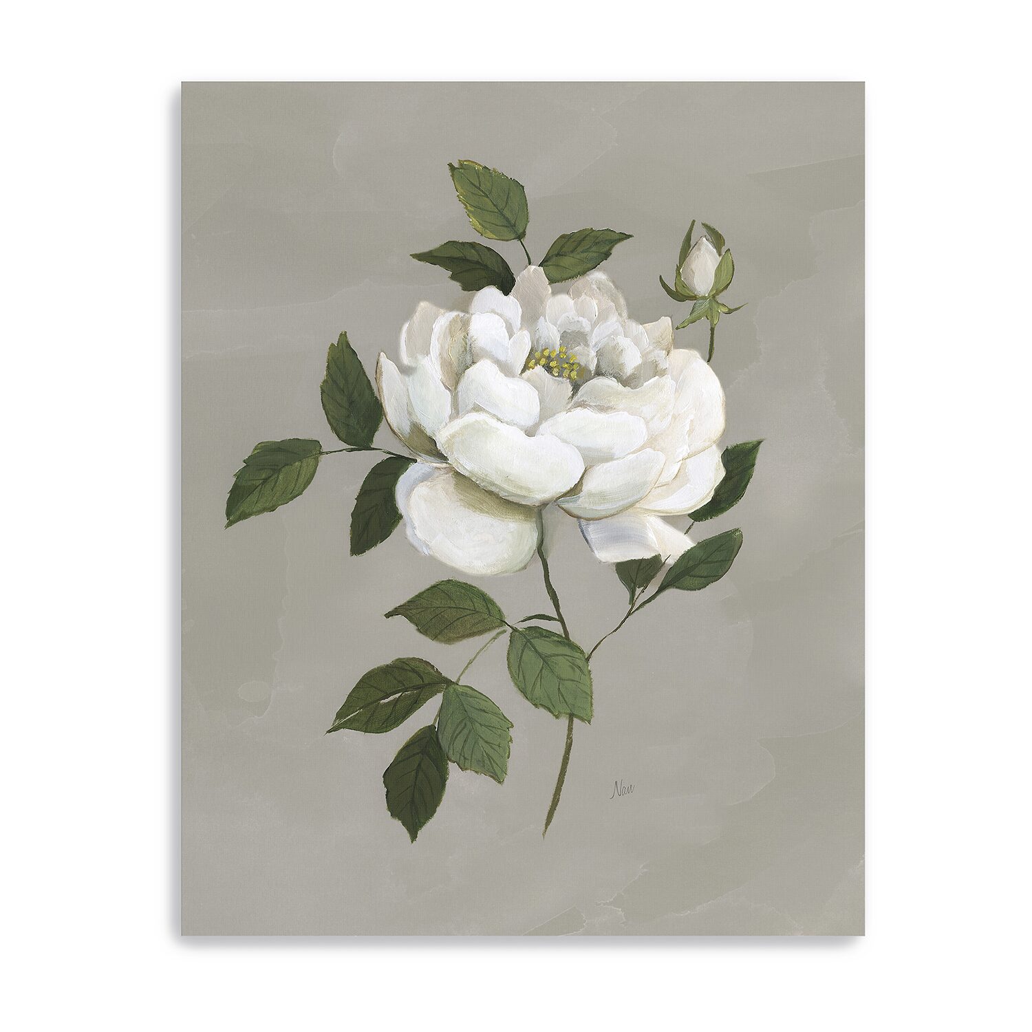Lumaprints Botanical Rose Giclee Canvas Art
