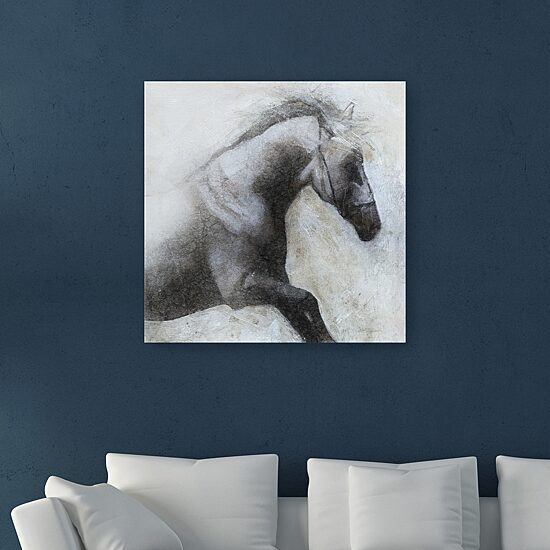 Lumaprints Misted Shadows Giclee Canvas Art