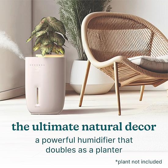 HoMedics Top-Fill Warm + Cool With Planter Humidifier