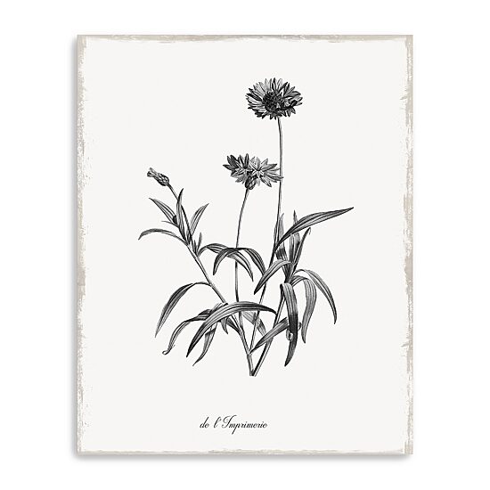 Lumaprints Simply Imperial Giclee Canvas Art