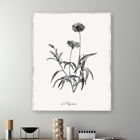 Lumaprints Simply Imperial Giclee Canvas Art