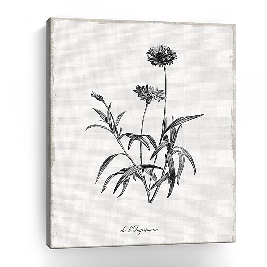 Lumaprints Simply Imperial Giclee Canvas Art