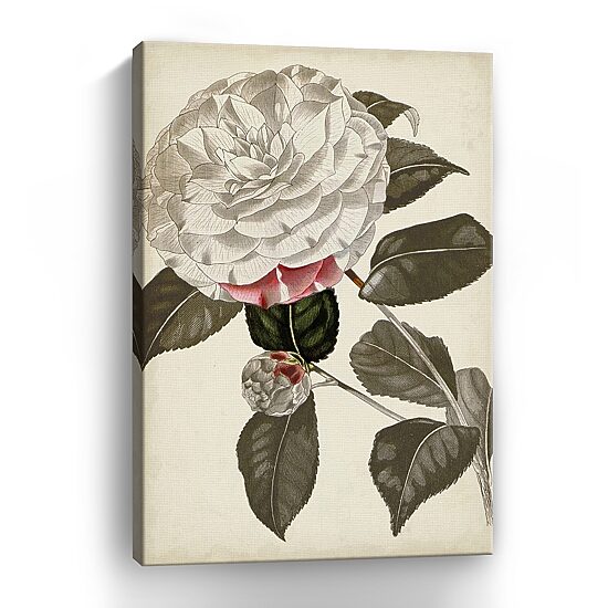 Lumaprints Silvery Botanicals I Giclee Canvas Art