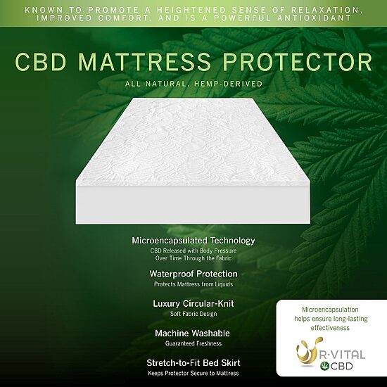 SensorPEDIC Mattress Protector with All Natural CBD Infused Fabric