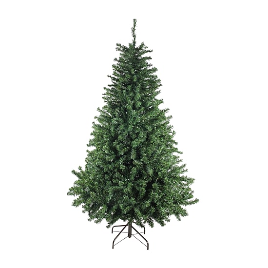 Northlight Full Canadian Pine  Unlit 6 Foot Pine Christmas Tree