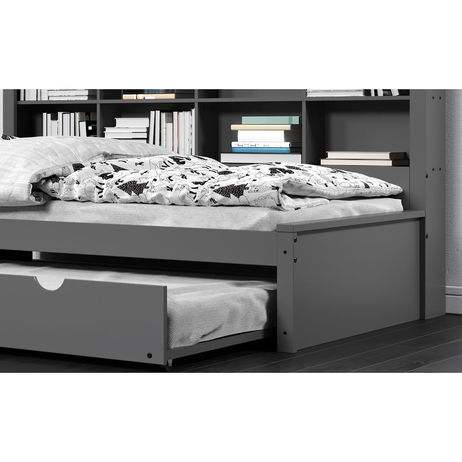 Bookcase Twin Daybed with Trundle