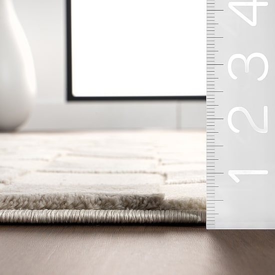 nuLoom Alaiya Indoor Rectangular Area Rug