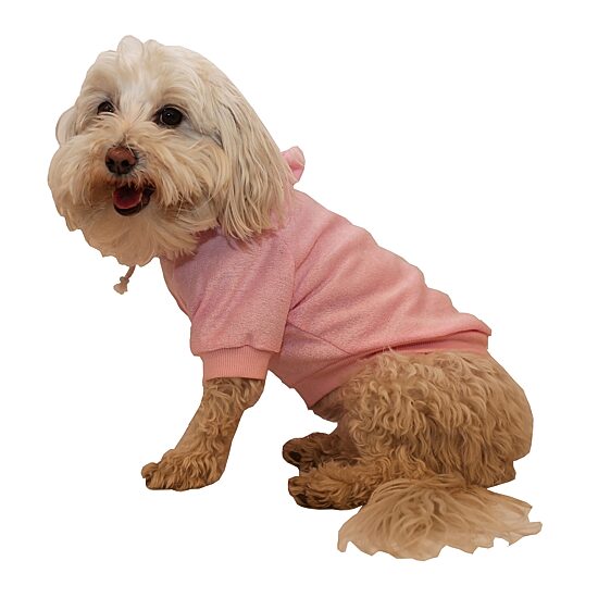 The Pet Life French Terry Pet Hoodie Hooded Sweater