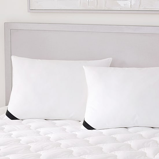 Queen Street Elegance 233 Thread Count Cotton Allergen Barrier Down Alternative Medium Density Pillow 2-Pack  