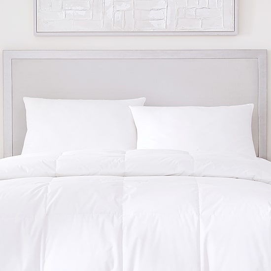 Queen Street Elegance 233 Thread Count Cotton Allergen Barrier Down Alternative Medium Density Pillow 2-Pack  