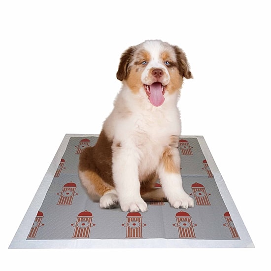 The Pet Life 55 Grams Ultra Absorbent Charcoal Odor Eliminating Anti-Skid and Anti-Bacterial Diabetic Premium Dog Training Pads