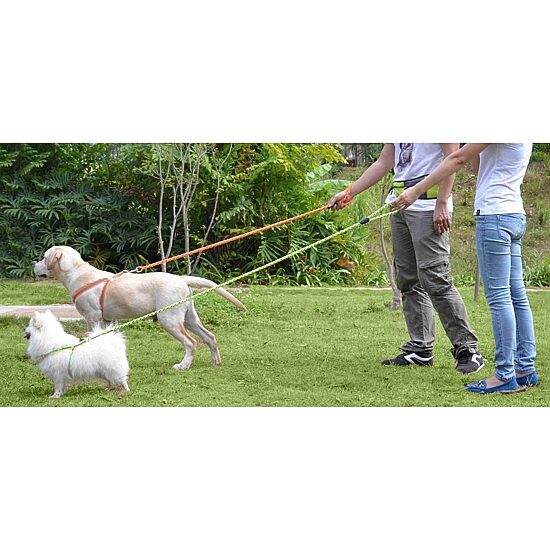 The Pet Life Reflective Stitched Easy Tension Adjustable 2-in-1 Dog Leash and Harness