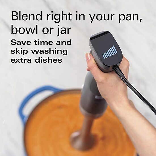 Hamilton Beach Professional Variable Speed Hand Blender