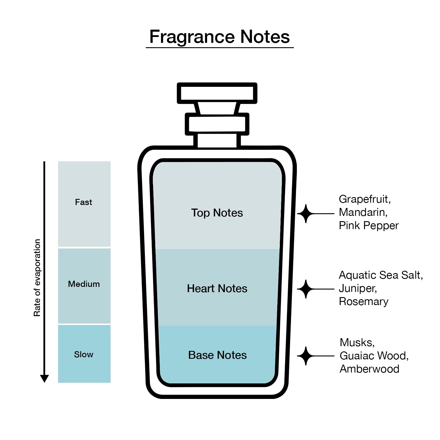 DOLCE&GABBANA Light Blue Pour Homme Eau De Parfum Intense