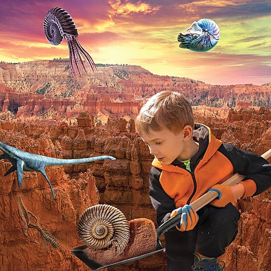 Discovery™ #Mindblown Colossal Fossil Dig Set