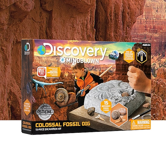 Discovery™ #Mindblown Colossal Fossil Dig Set